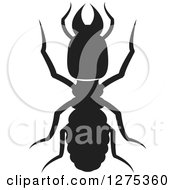 Black Silhouetted Termite
