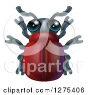 Poster, Art Print Of Cute Beetle Bug