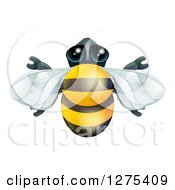 Poster, Art Print Of Cute Bee From Above