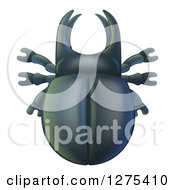 Poster, Art Print Of Cute Stag Beetle