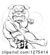 Poster, Art Print Of Black And White Angry Muscular Bulldog Man Punching