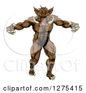 Clipart Of A Muscular Angry Brown Boar Man With Claws Royalty Free Vector Illustration