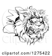 Poster, Art Print Of Black And White Roaring Angry Lion Head Breaking Through A Wall
