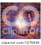 Clipart Of A 3d Human Heart Over Veins And Bones Royalty Free Illustration