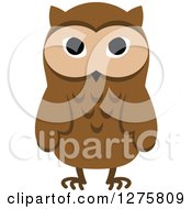Poster, Art Print Of Standing Brown Owl