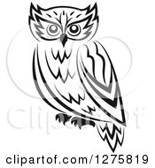 Poster, Art Print Of Black And White Resting Owl