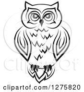 Poster, Art Print Of Black And White Resting Owl 2