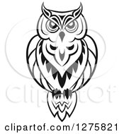 Poster, Art Print Of Black And White Resting Owl 3