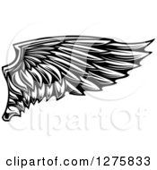 Clipart Of A Black And White Feathered Wing 17 Royalty Free Vector Illustration