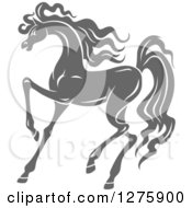 Poster, Art Print Of Gray Prancing Horse
