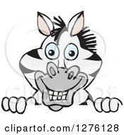 Clipart Of A Happy Zebra Peeking Over A Sign Royalty Free Vector Illustration
