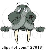 Clipart Of A Walrus Peeking Over A Sign Royalty Free Vector Illustration