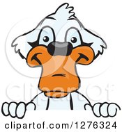 Clipart Of A Happy Mute Swan Peeking Over A Sign Royalty Free Vector Illustration