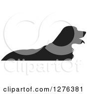 Black Silhouetted Golden Retriever Dog Panting In Profile