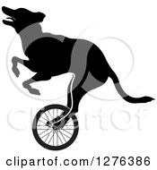 Poster, Art Print Of Black Silhouetted Dog Riding A Wheel