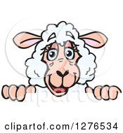 Clipart Of A Happy Sheep Peeking Over A Sign Royalty Free Vector Illustration