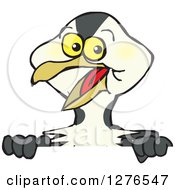 Clipart Of A Happy European Shag Bird Peeking Over A Sign Royalty Free Vector Illustration by Dennis Holmes Designs
