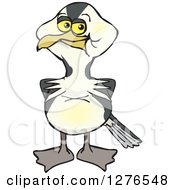 Happy European Shag Bird Standing