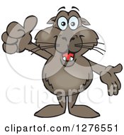 Clipart Of A Happy Sea Lion Holding A Thumb Up And Presenting Royalty Free Vector Illustration by Dennis Holmes Designs