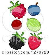 Poster, Art Print Of Raspberry Blueberry Cranberry Gooseberry Blackberry And Strawberry