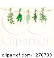 Border Of Herbs Being Hung To Dry Over Beige Text Space