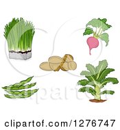 Poster, Art Print Of Super Food Vegetables