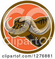 Clipart Of A Horned African Buffalo Head In A Brown White And Orange Circle Royalty Free Vector Illustration by patrimonio