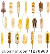 Poster, Art Print Of Wheat Stalks 2