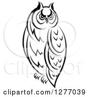Poster, Art Print Of Black And White Resting Owl 4