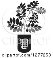 Clipart Of A Black And White Plant Growing From A Trash Can Royalty Free Vector Illustration