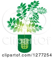 Clipart Of A Green Plant Growing From A Trash Can Royalty Free Vector Illustration