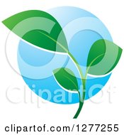 Poster, Art Print Of Green Seedling Plant Over A Blue Circle