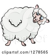 Poster, Art Print Of Sheep Looking Back