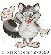 Poster, Art Print Of Happy Possum Holding A Thumb Up