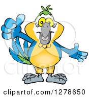 Poster, Art Print Of Blue And Yellow Macaw Parrot Holding A Thumb Up