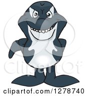 Happy Orca Killer Whale Standing