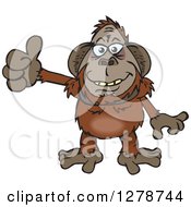 Clipart Of A Happy Orangutan Holding A Thumb Up Royalty Free Vector Illustration