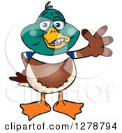 Clipart Of A Happy Mallard Drake Duck Waving Royalty Free Vector Illustration by Dennis Holmes Designs