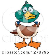 Poster, Art Print Of Happy Mallard Drake Duck
