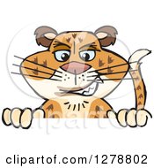Poster, Art Print Of Leopard Big Cat Peeking Over A Sign