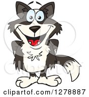 Poster, Art Print Of Happy Border Collie Standing With His Hands Behind His Back