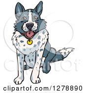 Poster, Art Print Of Happy Sitting Border Collie Dog
