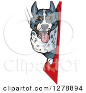 Poster, Art Print Of Border Collie Dog In A Car Window