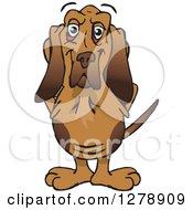 Happy Bloodhound Dog Standing