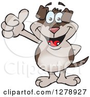 Poster, Art Print Of Happy Two Toned Brown Dog Giving A Thumb Up