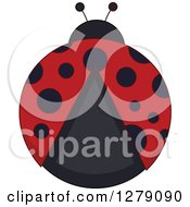 Poster, Art Print Of Aerial View Of A Ladybug