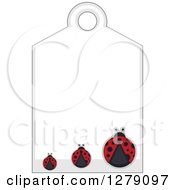 Poster, Art Print Of Sales Tag With Three Ladybugs And Text Space
