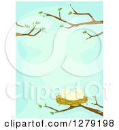Poster, Art Print Of Bird Nest With Eggs On Nearly Bare Spring Branches Over Blue