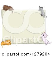 Poster, Art Print Of Blank Sign Board With Sketched Cats At Each Corner