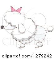 Poster, Art Print Of White Poodle Dog With A Pink Bow
